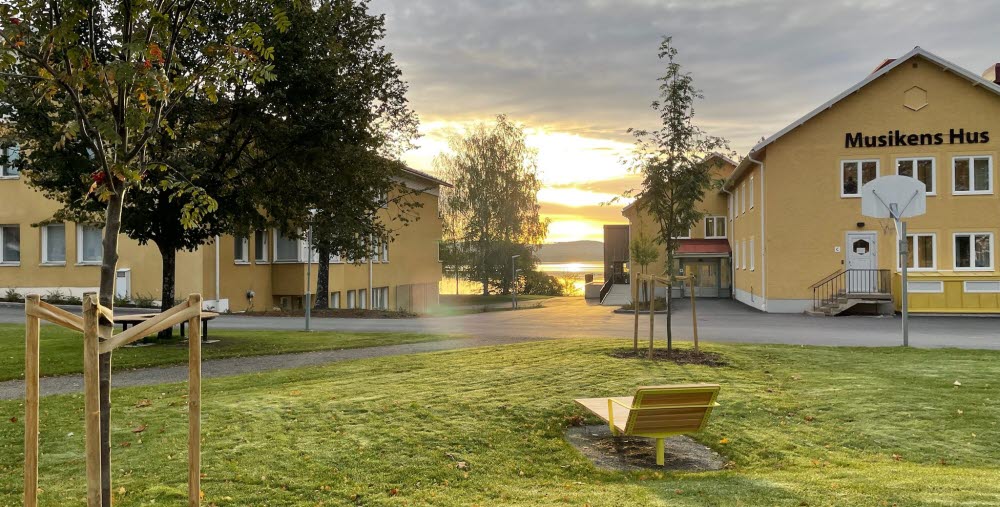 Naturbild vid Bollnäs folkhögskola