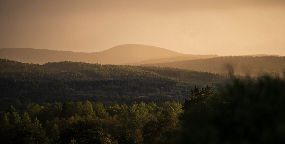 En utsikt över ett berg med träd i förgrunden.