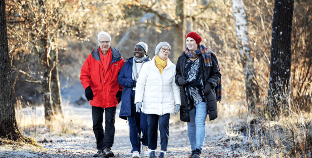 En grupp människor som går längs en stig i skogen.