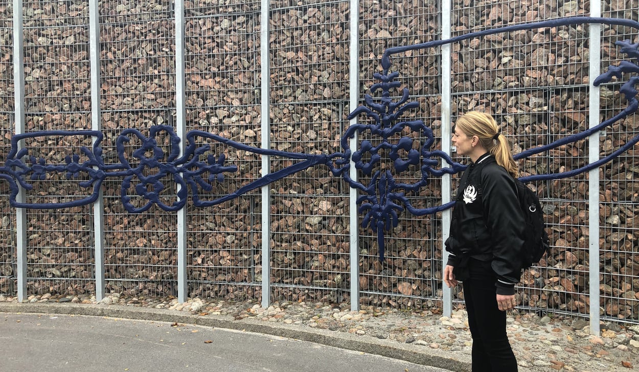 På gabionmuren under hus 11 sitter Festen, ett verk av konstnären Linda Bäckström. I relief och metalliska former väver hon samman Hälsinglands landskap, färgprakt och folkkonst till ett nutida uttryck med ett fokus på allt som finns att fira på ett sjukhus.