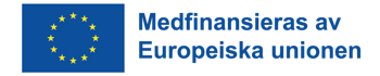 Europeiska unionens logotyp.
