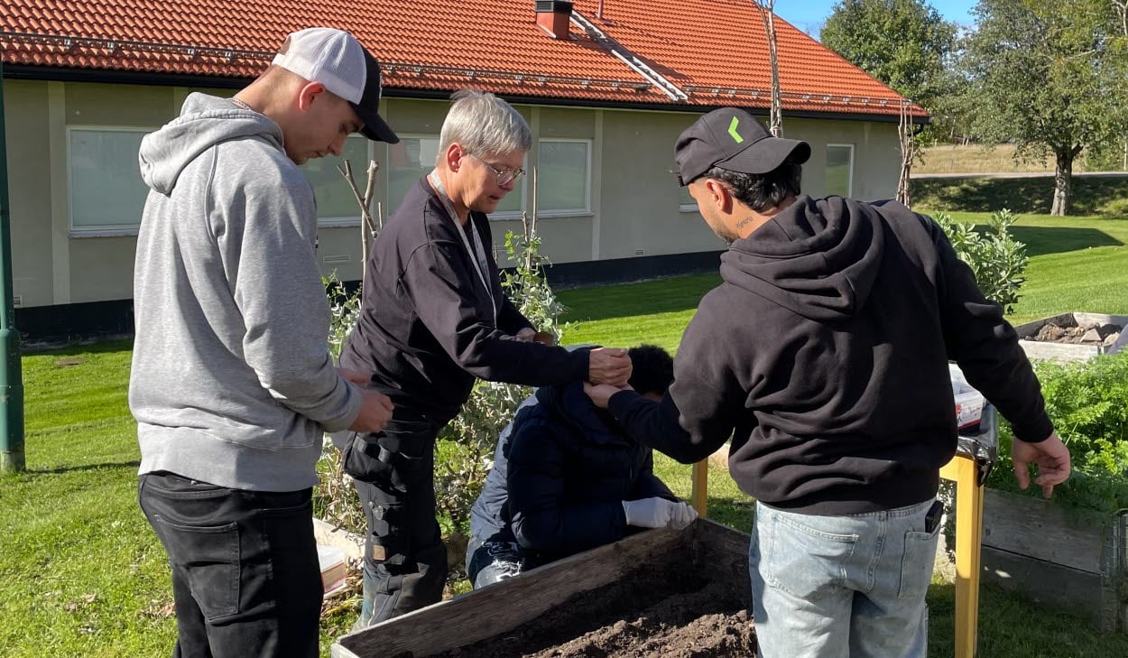 Deltagare i projektet FolkisUng arbetar tillsammans med plantering i en odlingslåda vid Västerbergs folkhögskola.