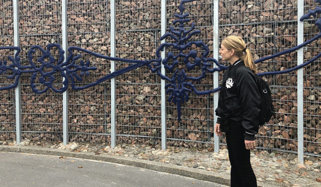 På gabionmuren under hus 11 sitter Festen, ett verk av konstnären Linda Bäckström. I relief och metalliska former väver hon samman Hälsinglands landskap, färgprakt och folkkonst till ett nutida uttryck med ett fokus på allt som finns att fira på ett sjukhus.