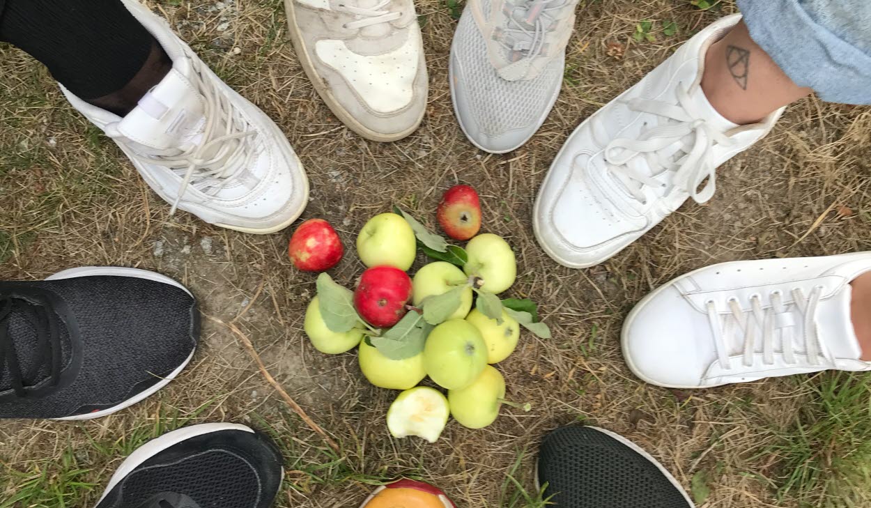 Skor runt äpplen. Behandlingspedagog