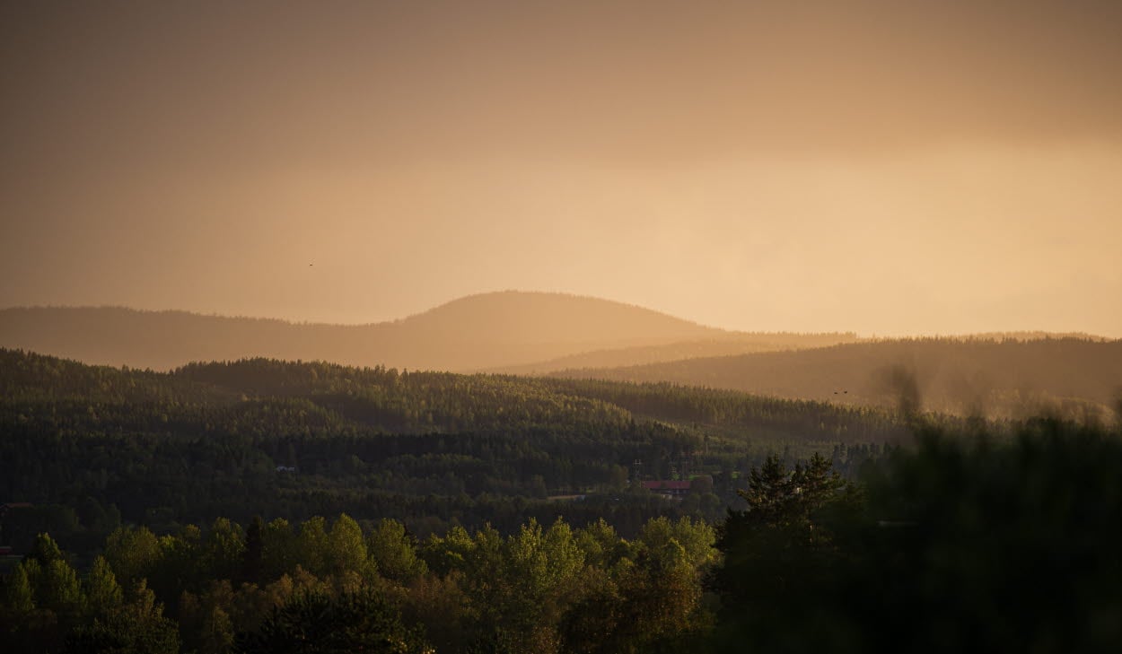 Skogsklädda kullar i kvällsljus.