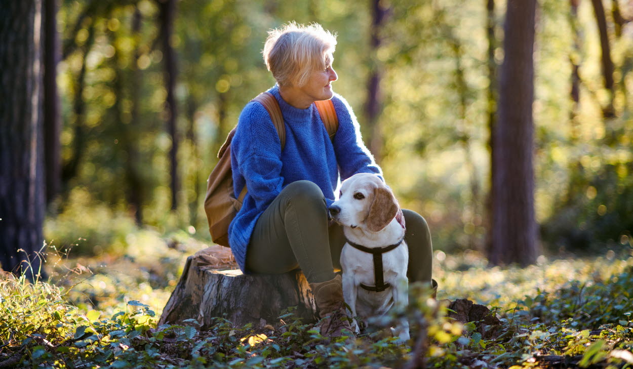 A happy senior woman with dog on a walk outdoors in forest, resting.