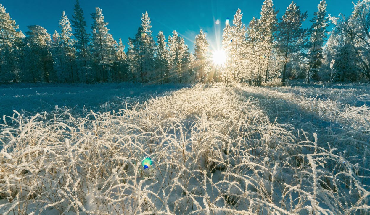 Snölandskap
