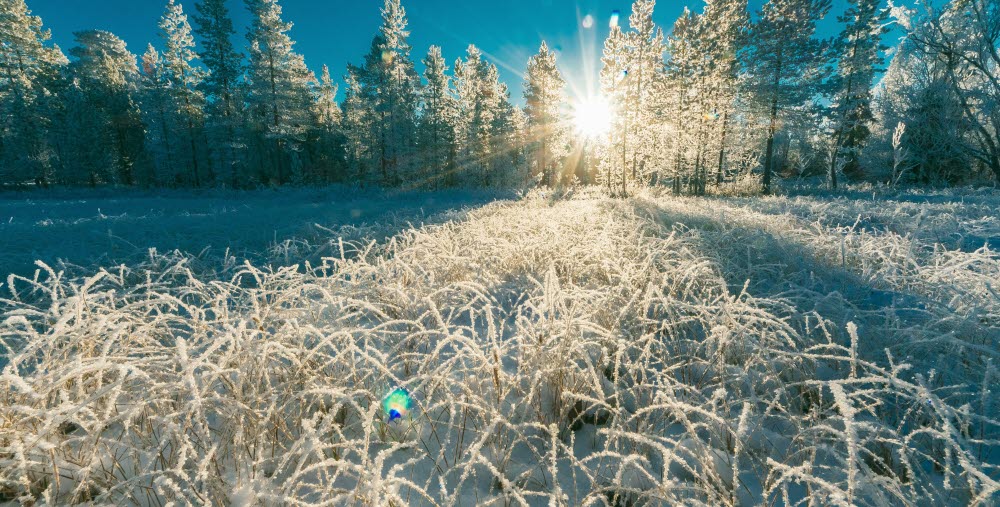 Snölandskap